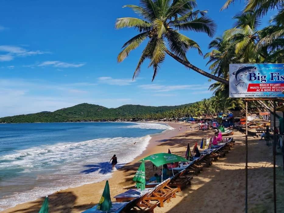 Hotel Big Fish Canacona Esterno foto